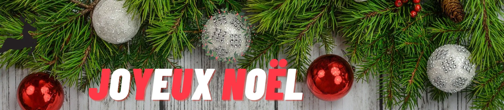 Vidéos sur le thème de Noël
