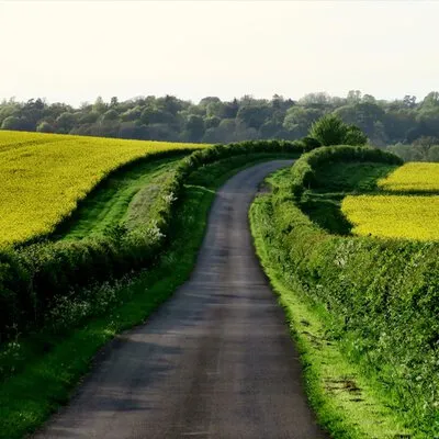 Amerikanische Landstraße