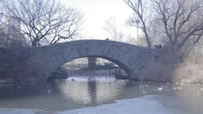 Winter Bridge