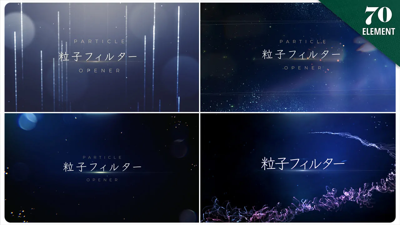 パーティクルフィルタ&トランジションパック